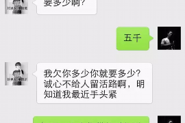 阳高债务清欠服务